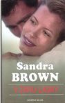 Sandra Brown V žáru lásky 