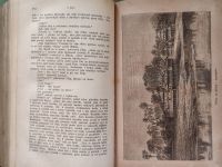 Svatopluk Čech,Dr.Servác Heller Květy kniha první 1879