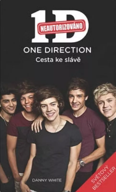 Danny White One Direction Cesta ke slávě