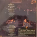 LP Robin Gibb How Old Are You ? EX-/EX-