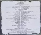 CD Skimmed – New Insanity