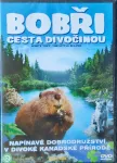 DVD Bobři cesta divočinou