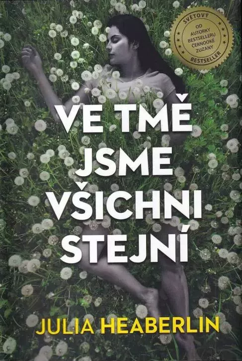 Julia Heaberlin Ve tmě jsme všichni stejní