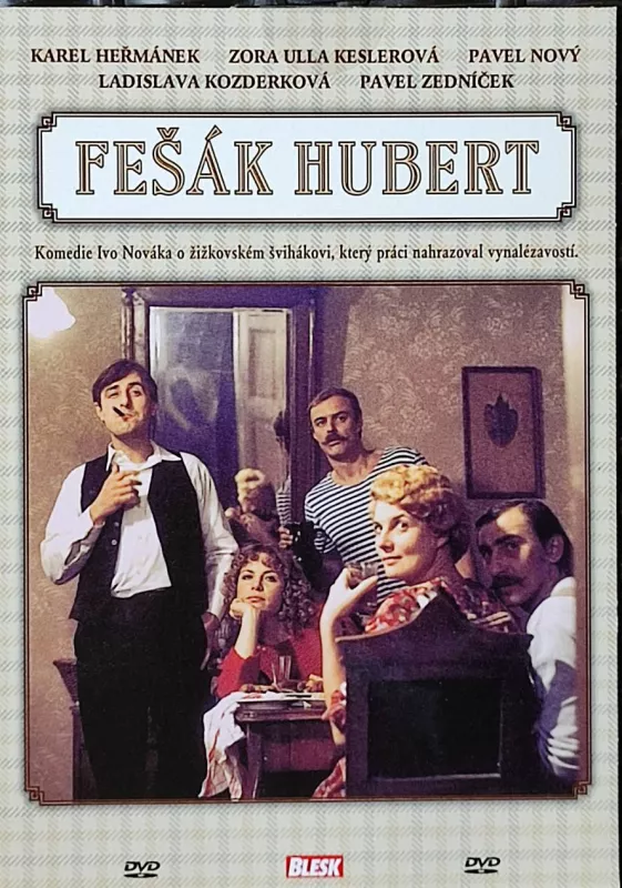 DVD Fešák Hubert