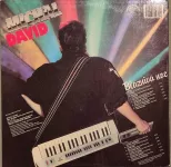 LP Michal David Bláznivá noc VG++/EX