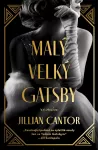 Jillian Cantor Malý velký Gatsby