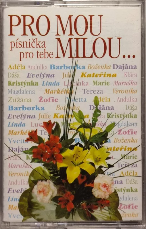 MC Pro mou milou,písnička pro tebe