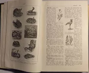 Masarykův slovník naučný: 3: H-Kn - Lidová encyklopedie všeobecných