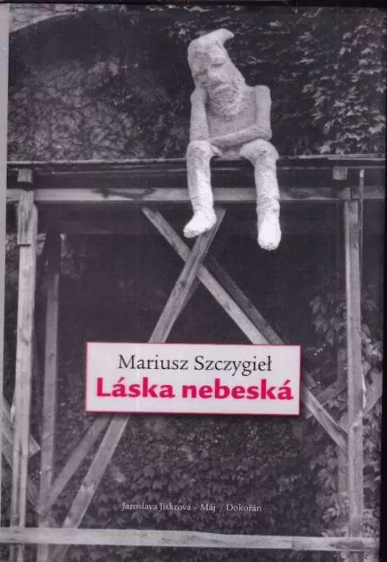 Mariusz Szczygieł Láska nebeská