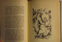 Enos Mills Matka medvědice 1924