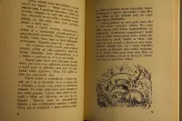 Enos Mills Matka medvědice 1924