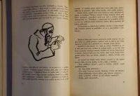 František Langer Železný vlk 1926