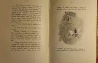 Svatopluk Čech Pravý výlet pana Broučka do Měsíce 1897 Svatopluk Čech Pravý výlet pana Broučka do Měsíce 1897