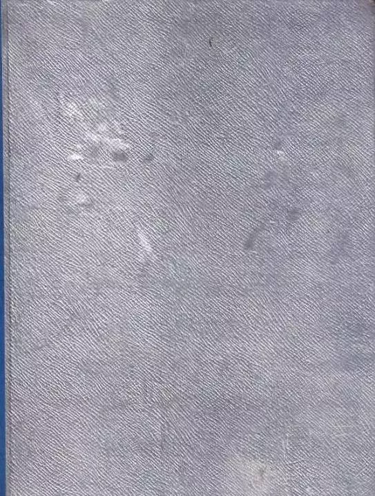 Alex Wedding Ledové moře volá ilustrace L Salač