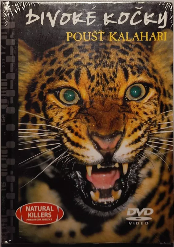 DVD Divoké kočky-Poušť Kalahari