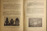 Josef Vaněk Květiny v domácnosti, na oknech a balkonech