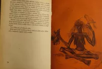 Mario Appelius Hřbitov slonů ilustrace Zdenka Burghauserová