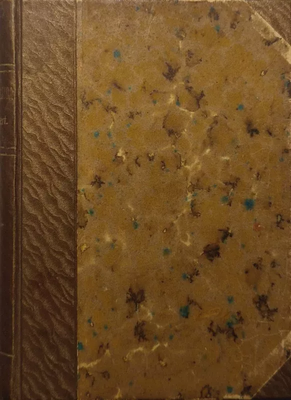 Lev Nikolajevič Tolstoj Albert