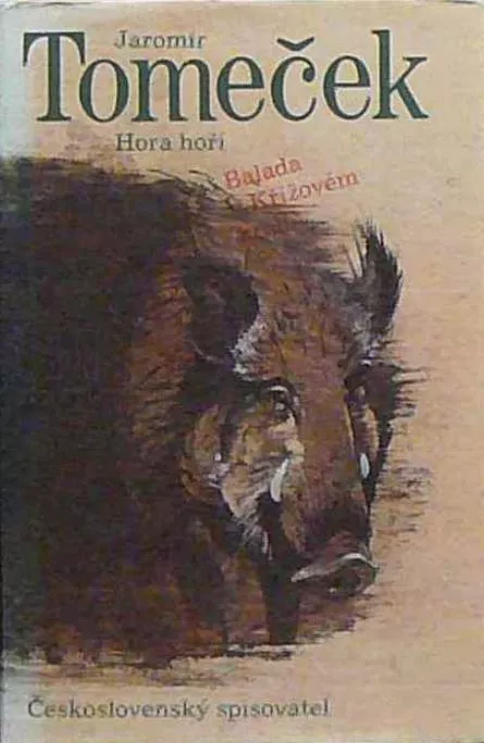 Jaromír Tomeček Hora hoří balada o Křížovém králi ilustraceEva Hašková