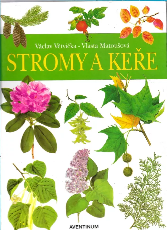 Václav Větvička Vlasta Matoušová Stromy a keře