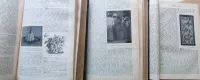 Domácí Vševěd : ilustrovaný slovník vědomostí ze všech oborů domácího