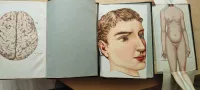 Domácí Vševěd : ilustrovaný slovník vědomostí ze všech oborů domácího