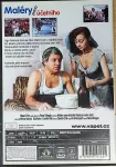 DVD Maléry pana účetního.