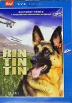 DVD RIN TIN TIN