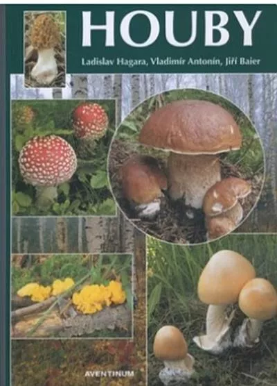 Vladimír Antonín, Ladislav Hagara, Jiří Baier Houby