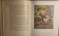 Alois Jirásek Bratrstvo-Bitva u Lučence ilustrace Adolf Kašpar