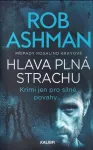 Rob Ashman Hlava plná strachu