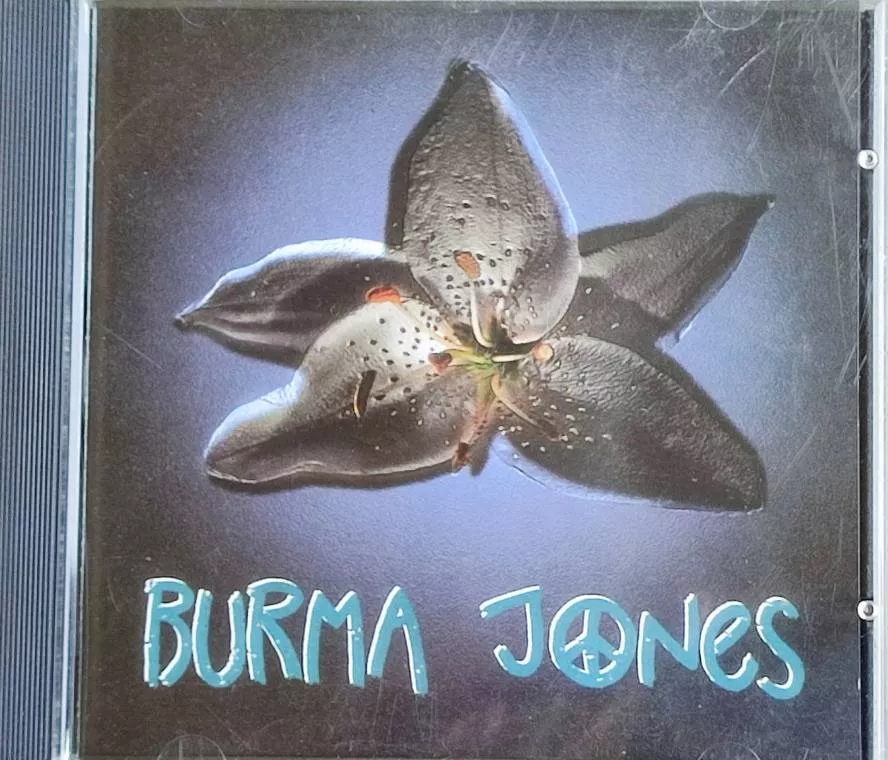 CD Burma Jones, Slepí ptáci